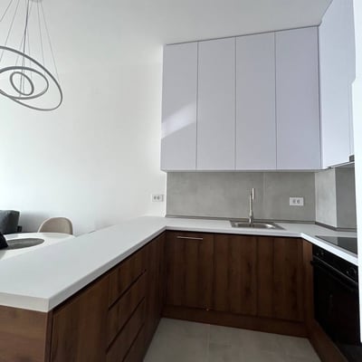 Rent of a furnished 2-room apartment, 45 m², New Belgrade, Serbia